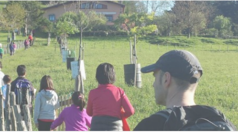 Imagen Actividades sábados